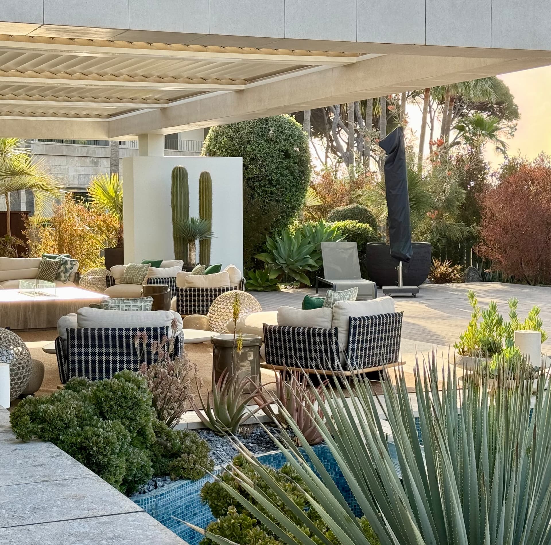 Marbella terrace with shaded seating, sculptural succulents and layered planting