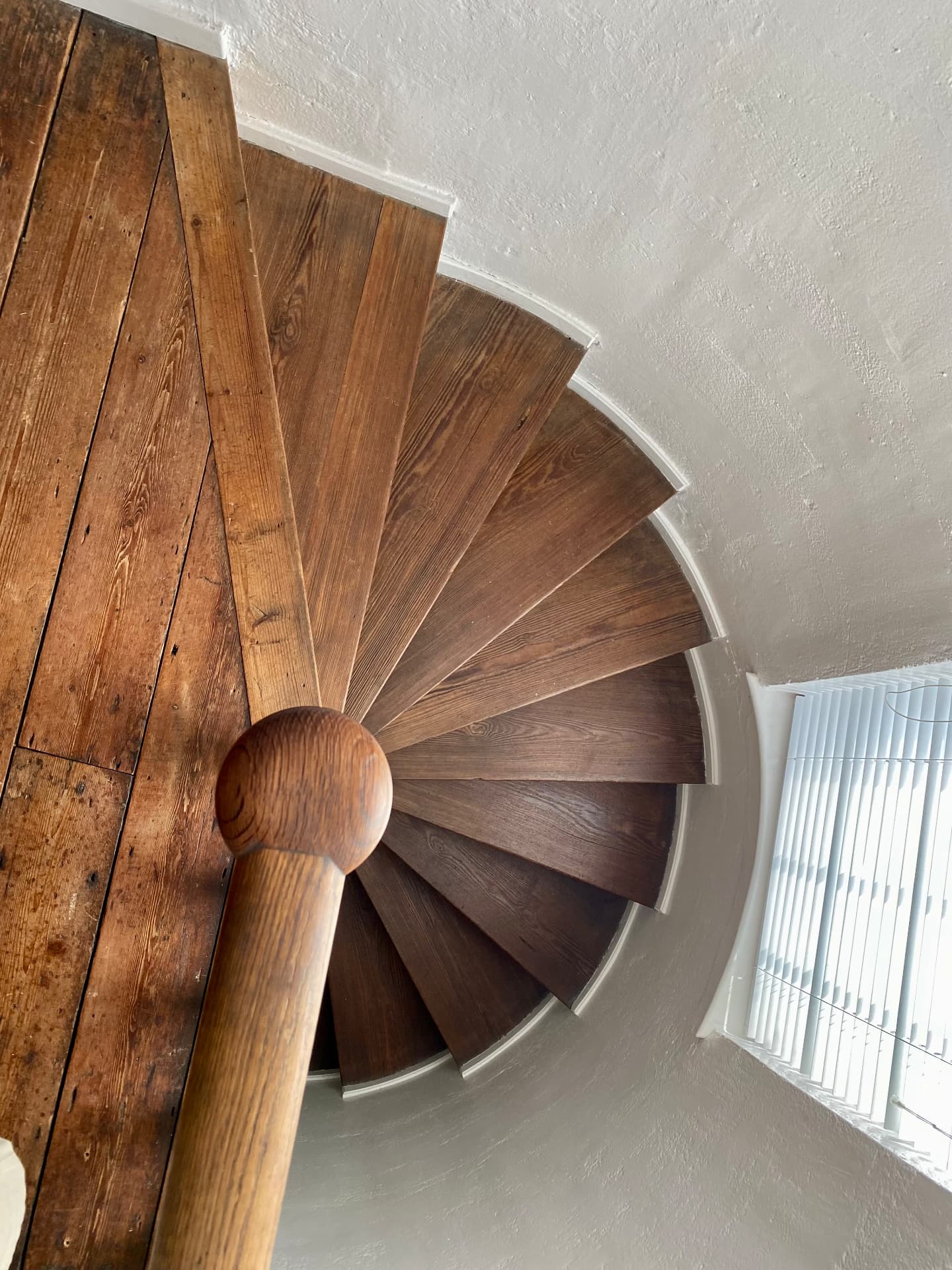 Spiral timber staircase seen from above against a white plastered wall